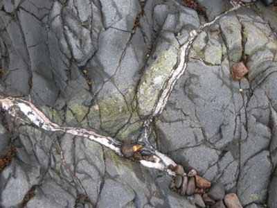 8 Epidote.jpg